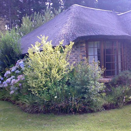 Coral Tree Cottages Harkerville Esterno foto
