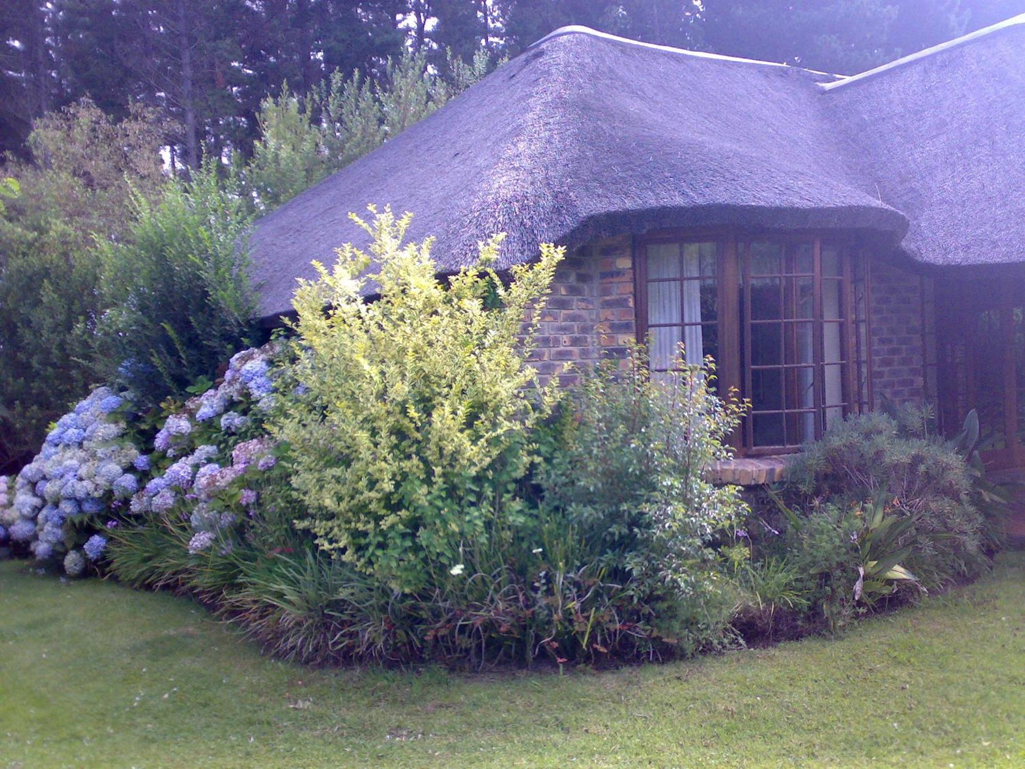 Coral Tree Cottages Harkerville Esterno foto