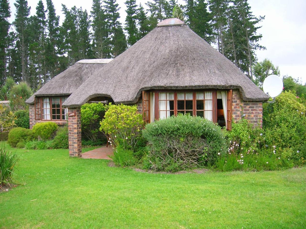 Coral Tree Cottages Harkerville Esterno foto